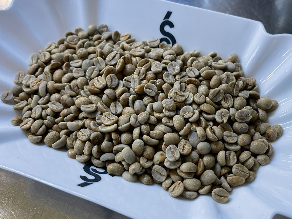 ザグリ珈琲のコーヒー生豆