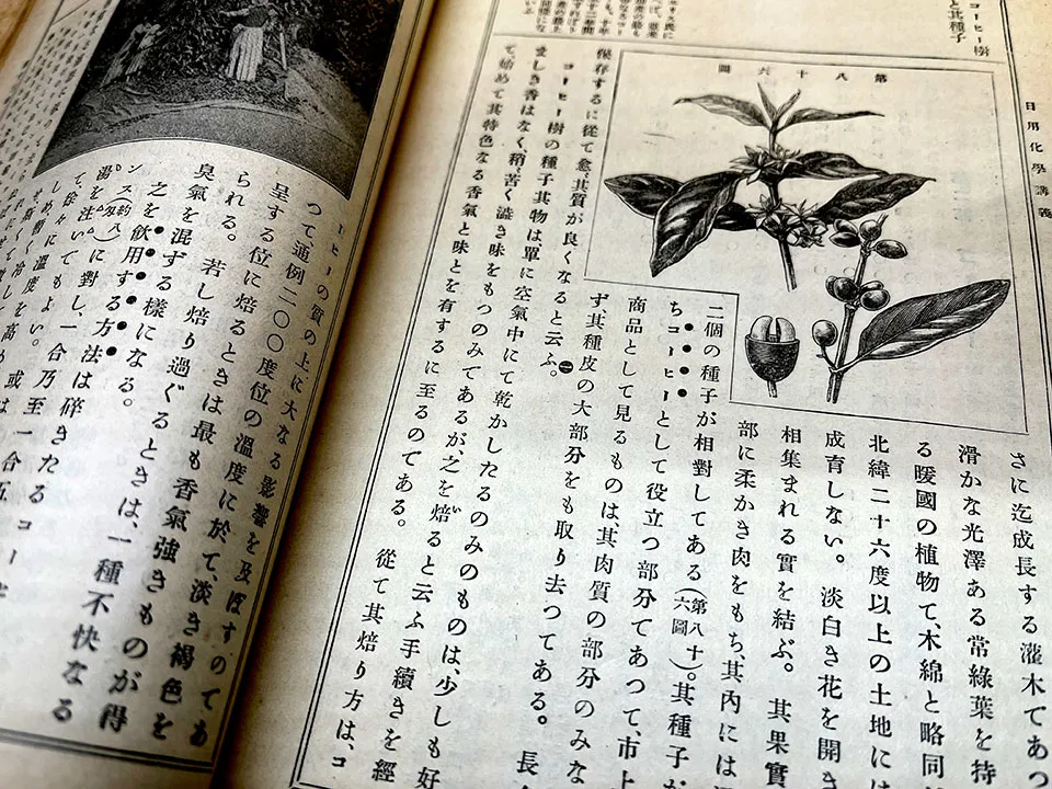明治43年の日本の化学教科書のコーヒー記述