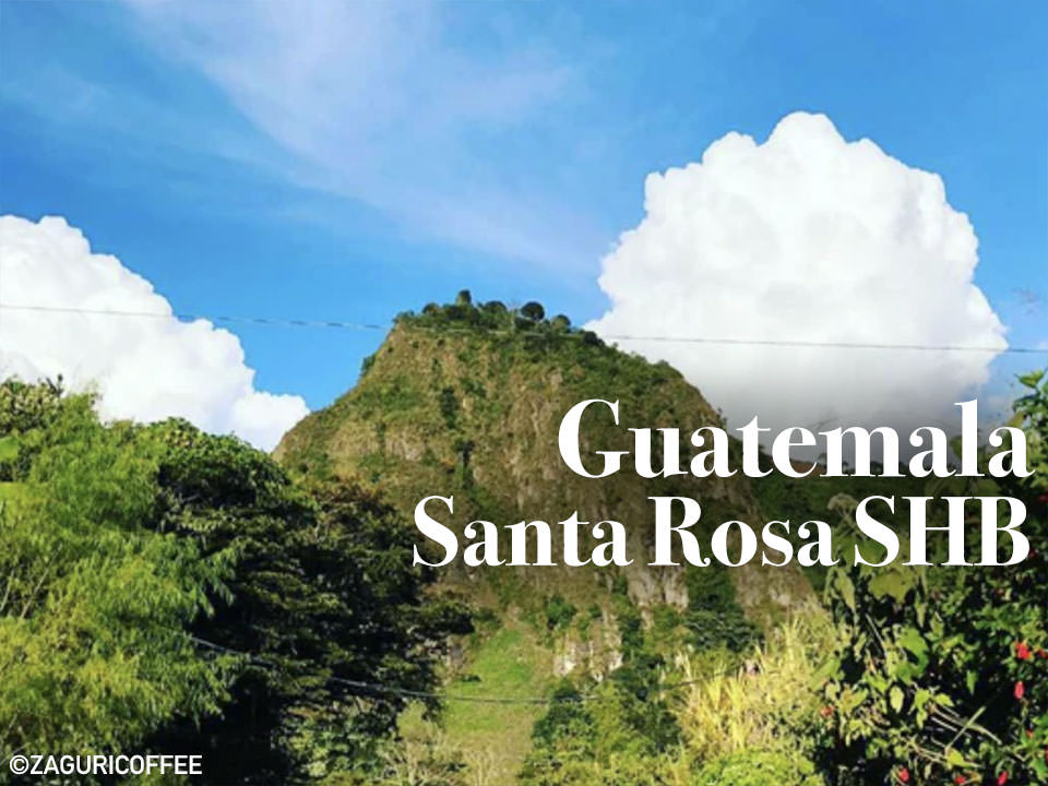 guatemara-santa-rosa-shb