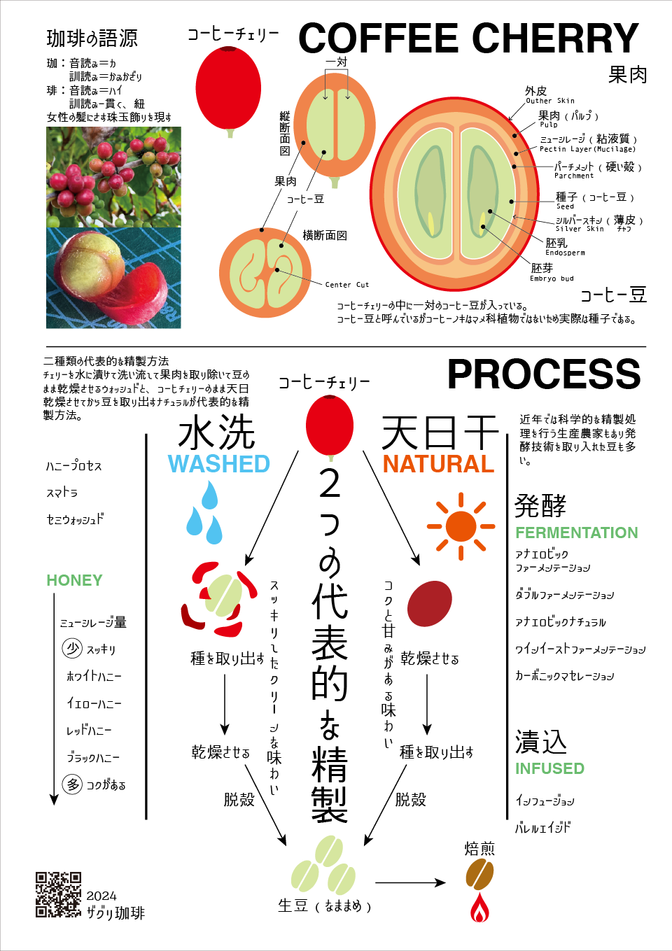 珈琲豆の精製