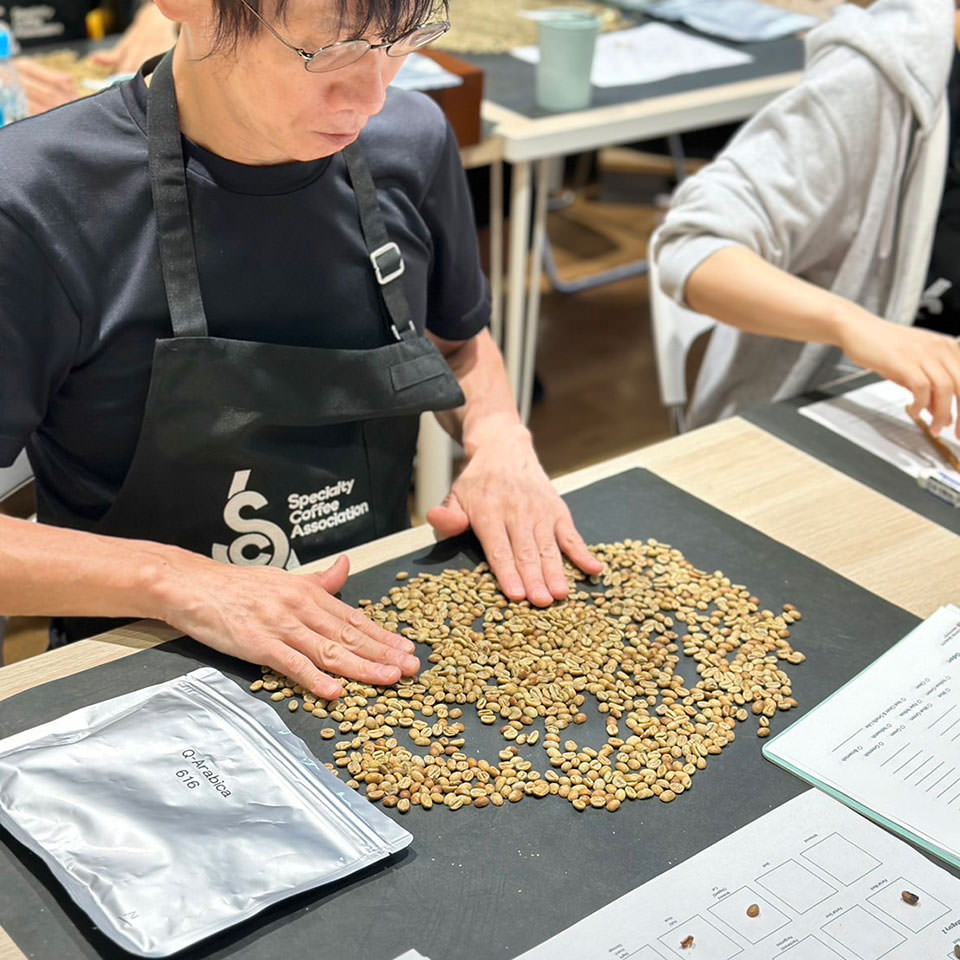 生豆鑑定の様子