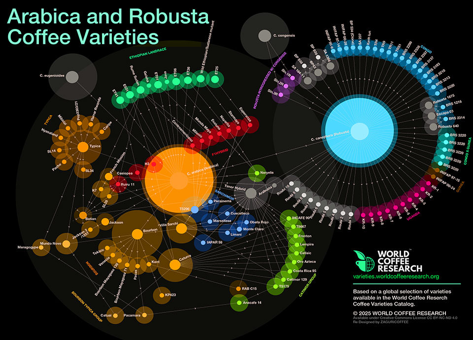 coffee varieties