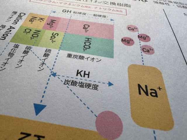 重炭酸イオン