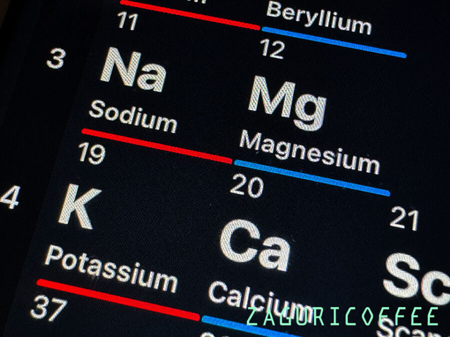 コーヒー抽出水質検査