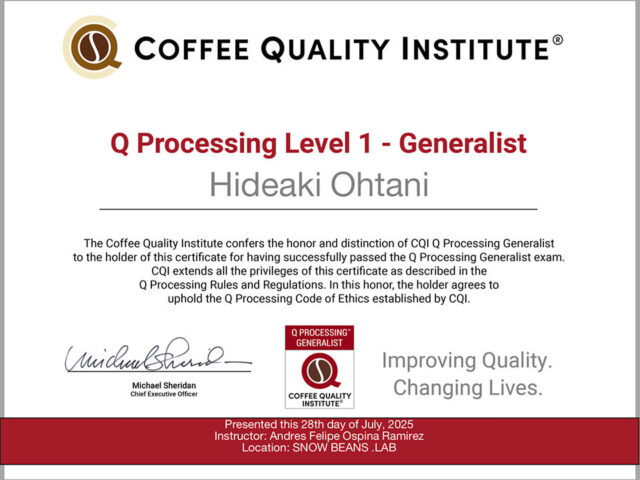 CQI Q Processing course