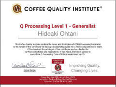 CQI Q Processing course