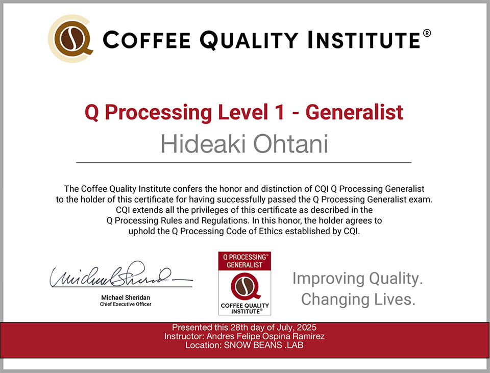 CQI Q Processing course