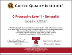 Q Processing Course Level 1 - Generalist