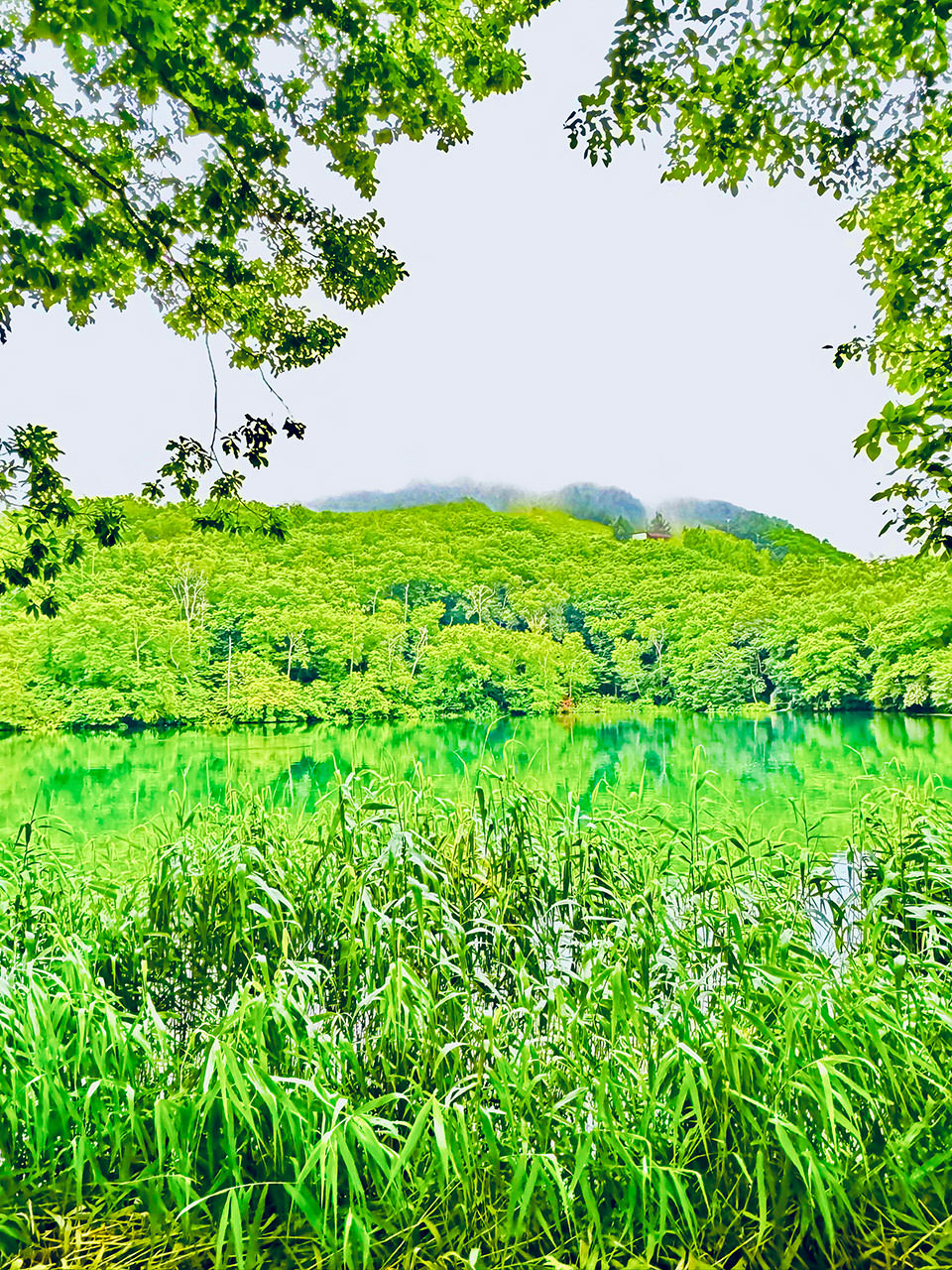 長野県の美味しい水