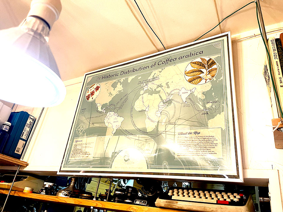 historicdistributionofarabica