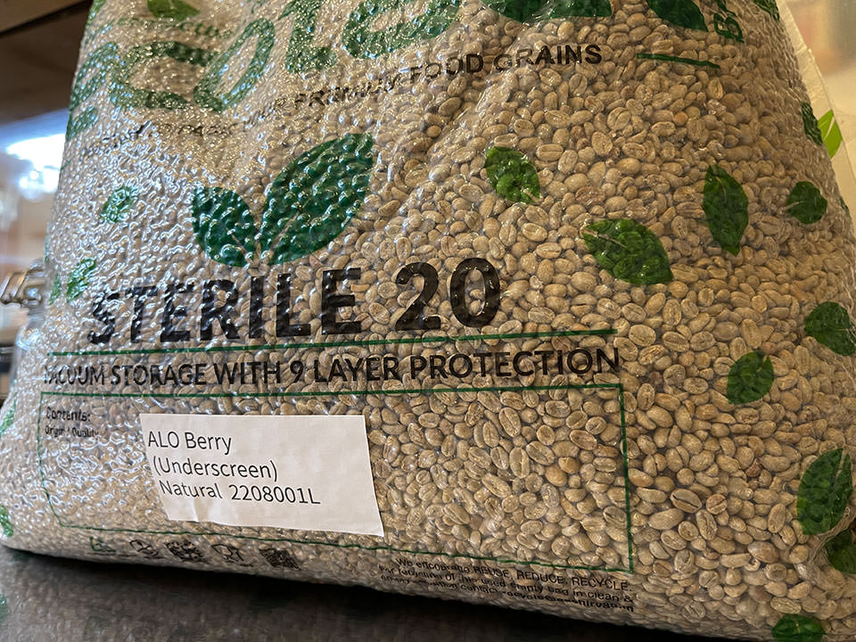 エチオピアタミル生豆アンダースクリーンtamirutadsesse-underscreen