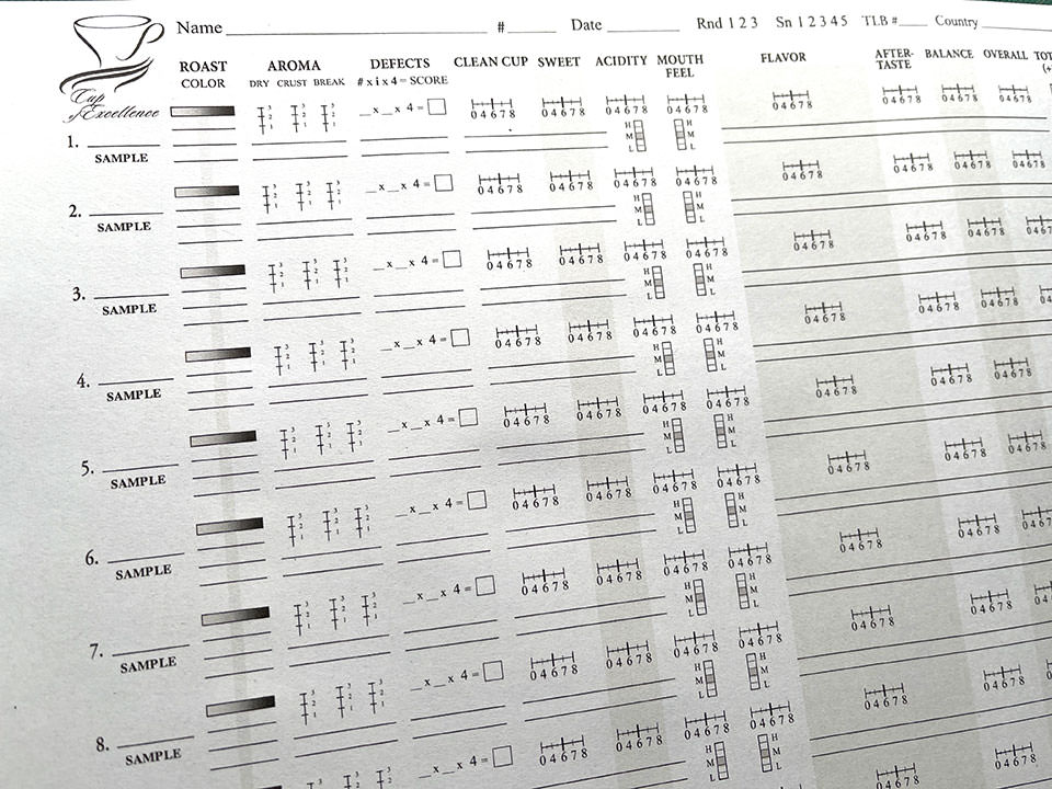 COEカッピングフォーム