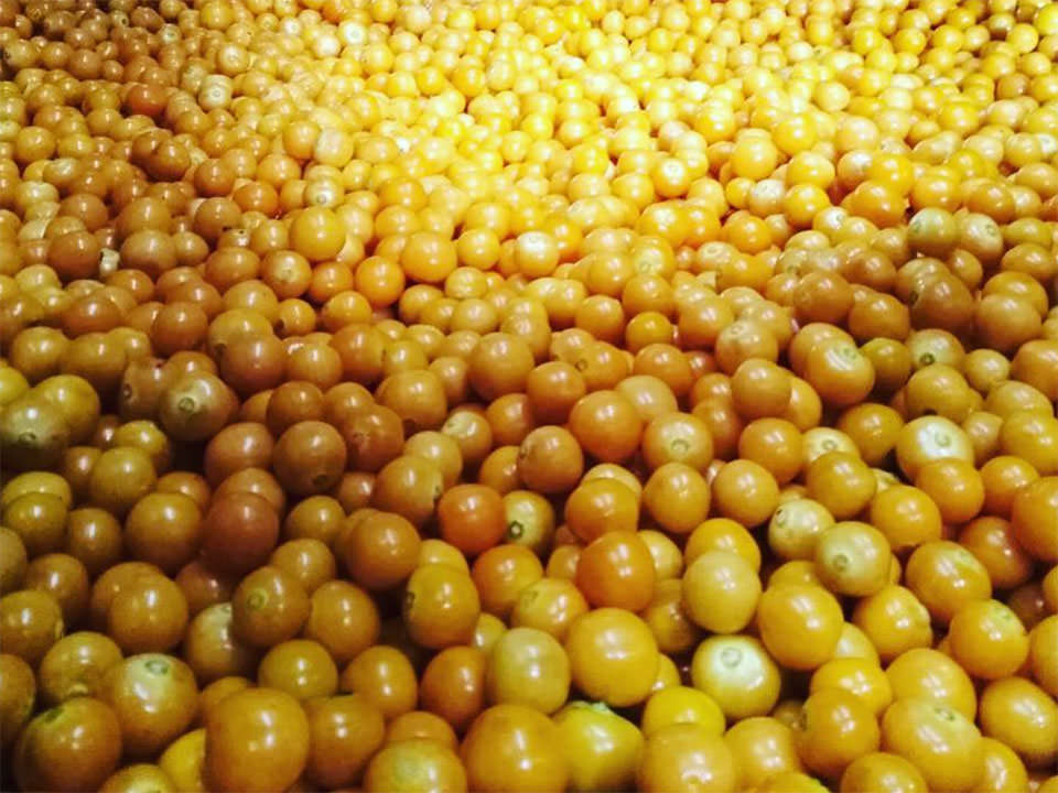 コーヒーチェリー