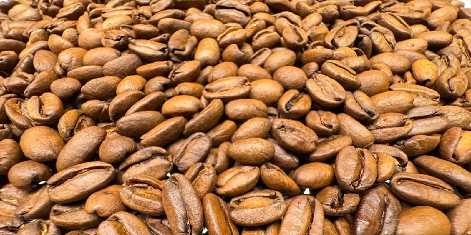 パナマゲイシャプライベートコレクション