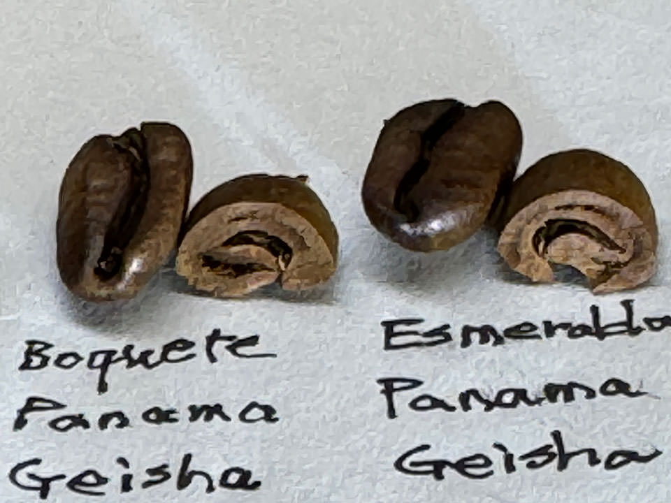 ゲイシャの焙煎比較
