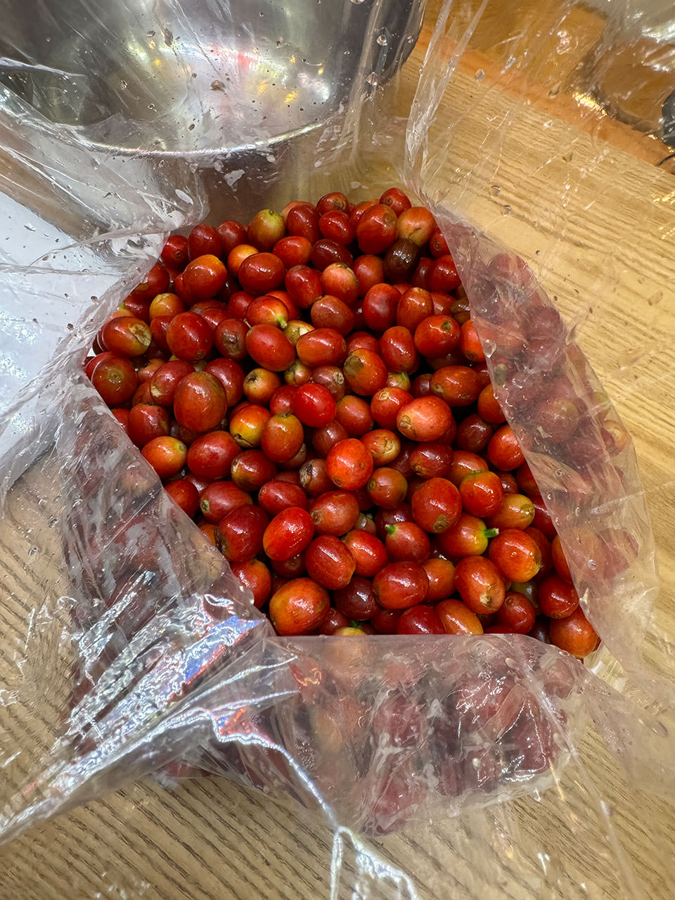 奄美大島のコーヒーチェリー