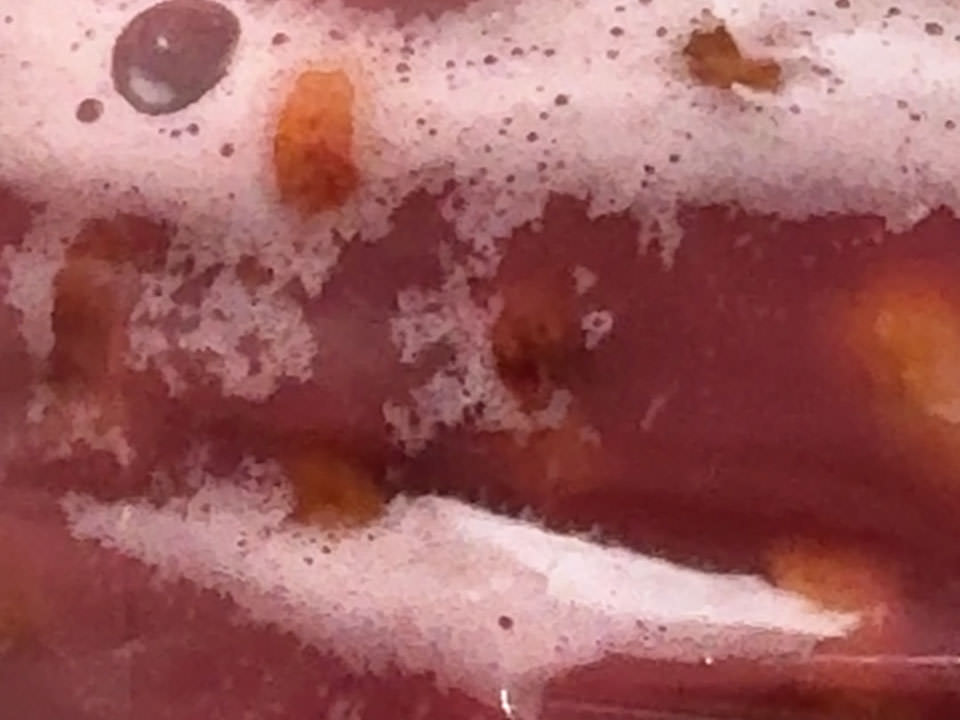 コーヒーチェリーの発酵