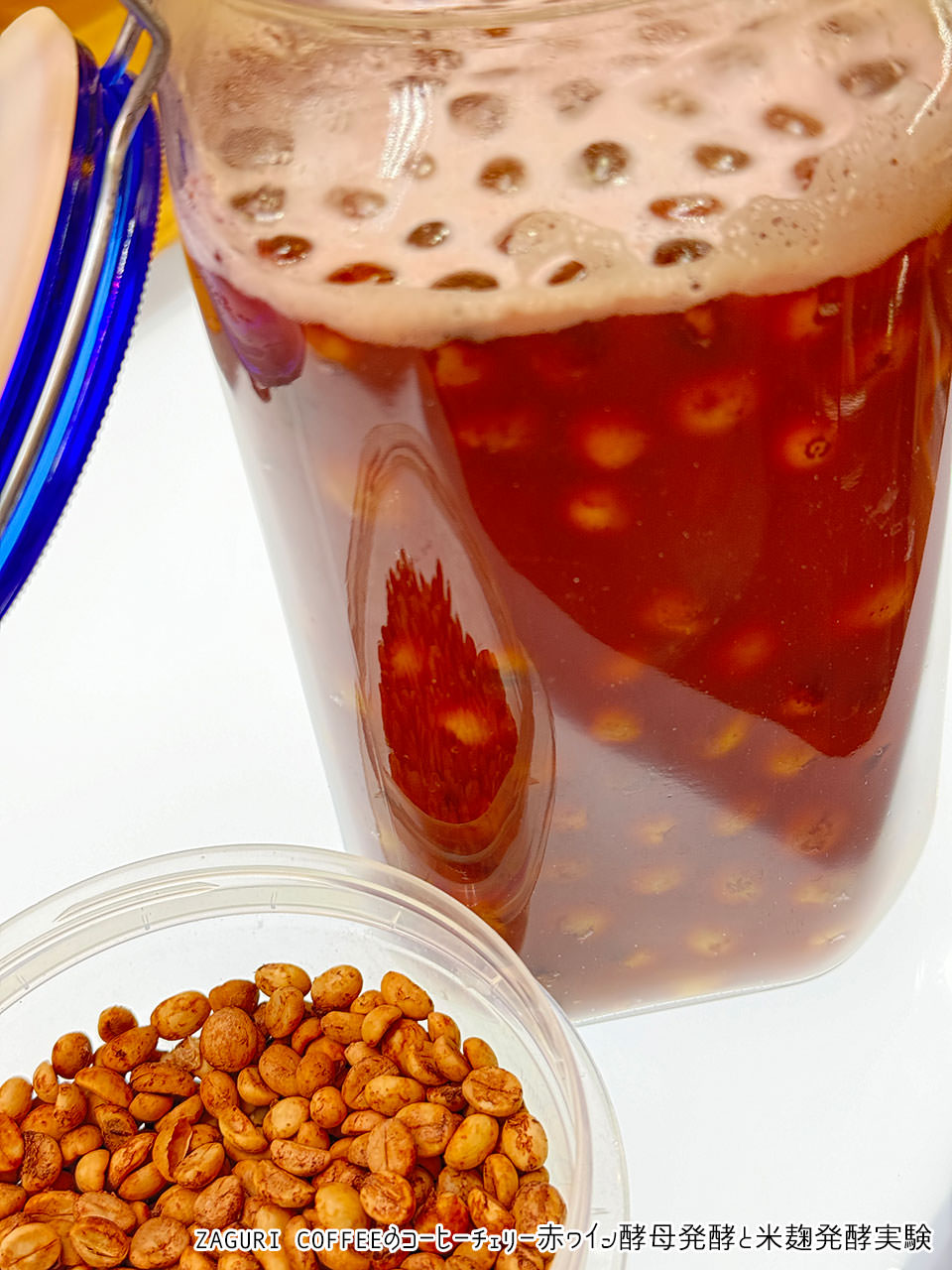 ワイン酵母発酵