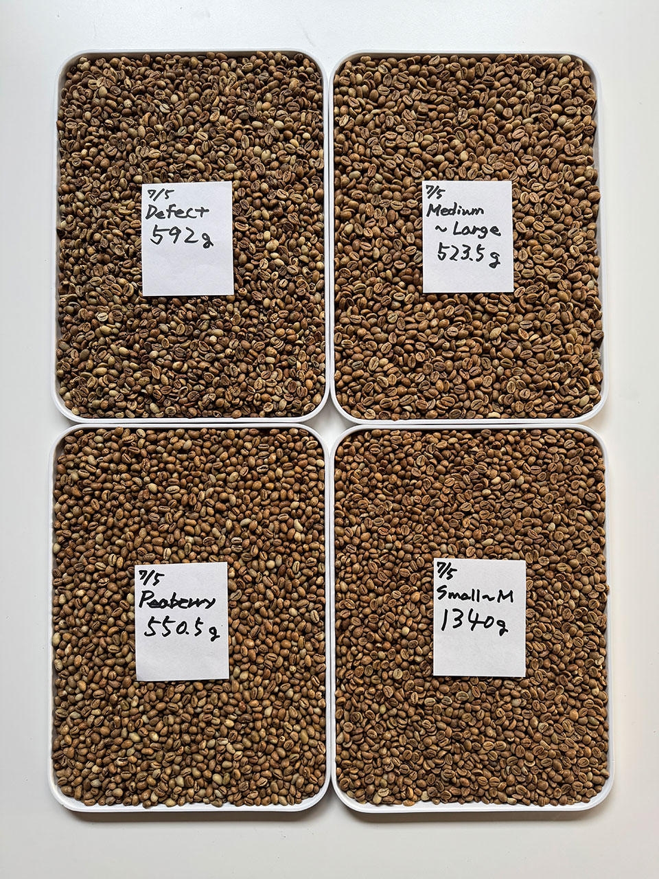 ブラジル焙煎大会