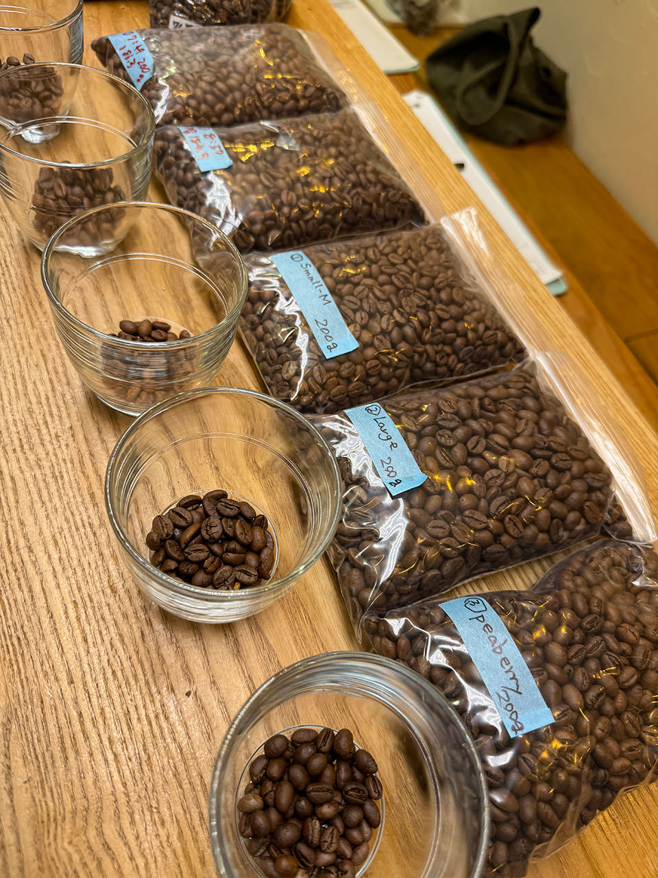 ブラジル焙煎大会