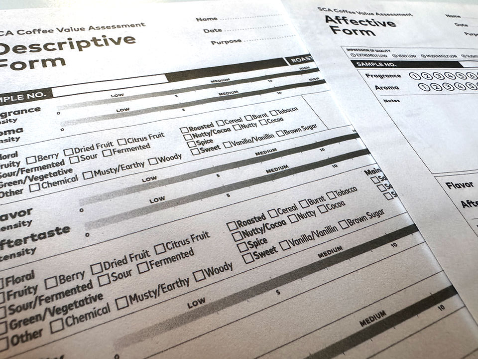 descriptiveaffective