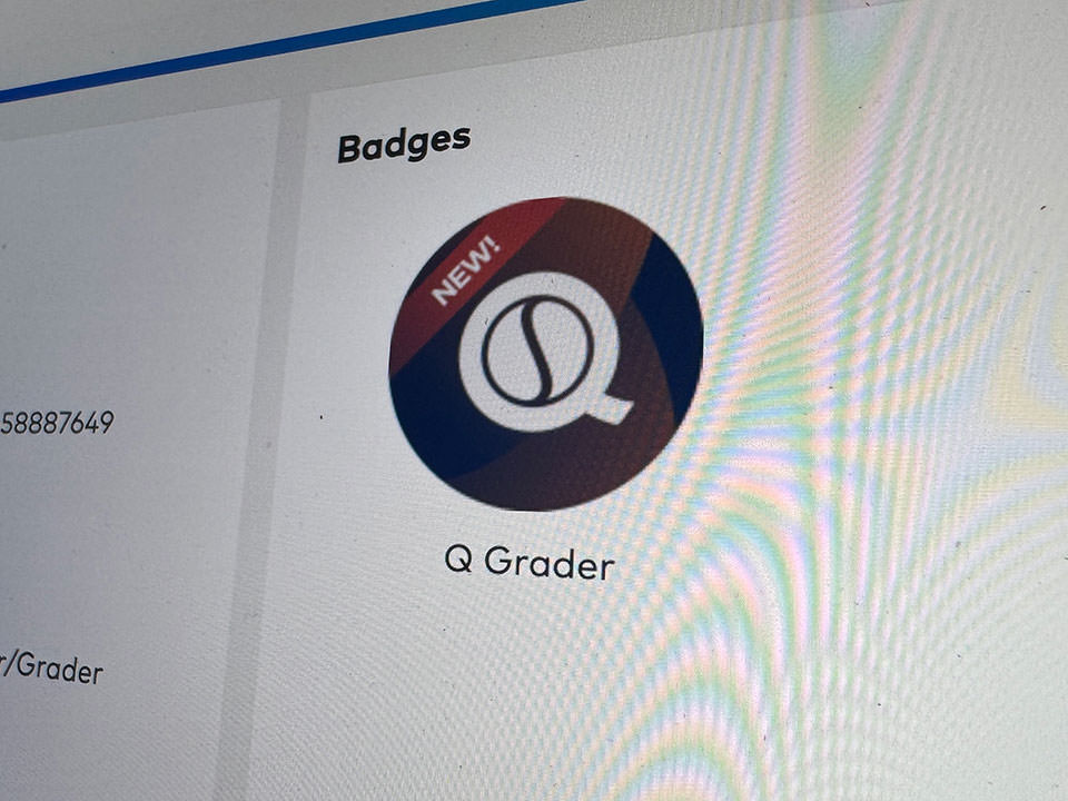 SCA-EVOQグレーダーアイコン