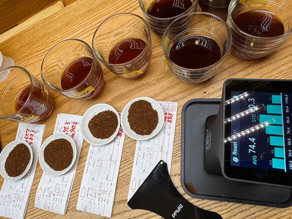 テイスティング